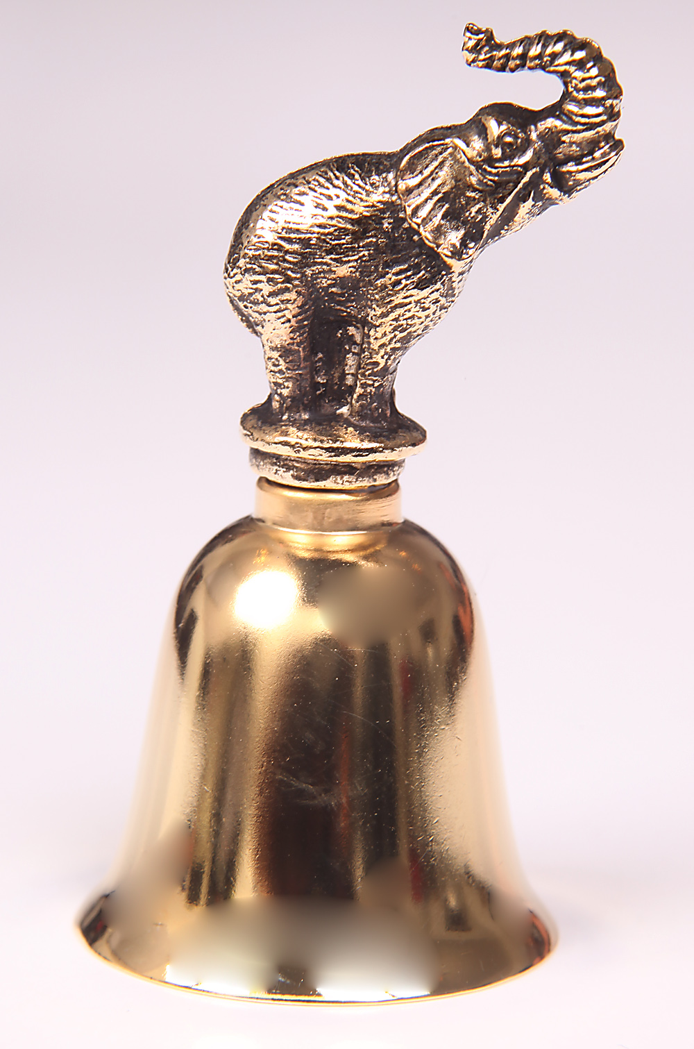 foto zvone�ek hladk� - st�edn�, slon